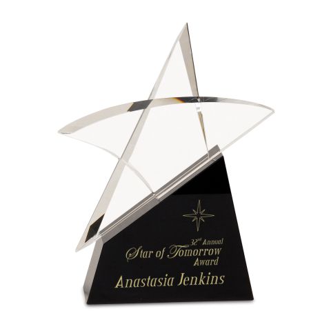Chinese crystal star award with sand etched text and logo.